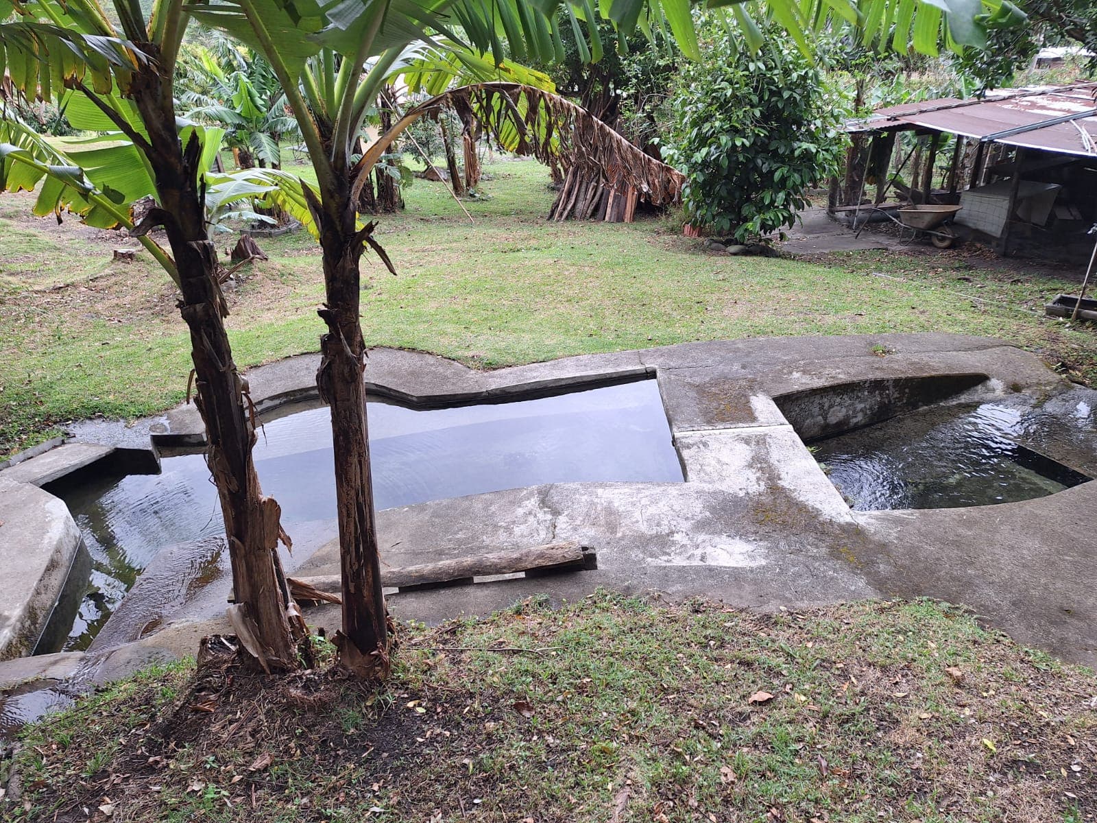 Foto de Senderos Amados 8